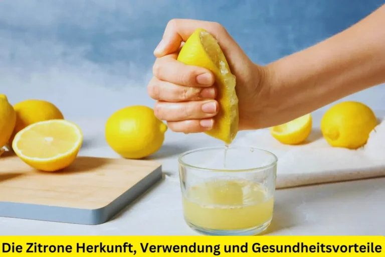 Die Zitrone Herkunft, Verwendung und Gesundheitsvorteile
