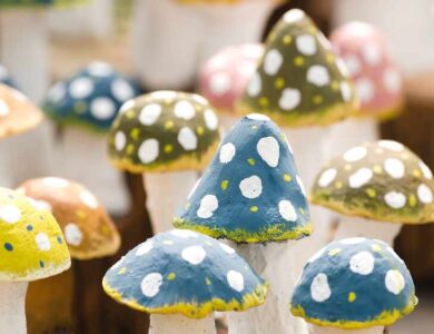 Struktur im Garten schaffen ohne Mauern oder Zäune